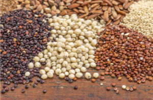 Is it Ok to Eat Quinoa, Buckwheat and Other “Non-Grains”?