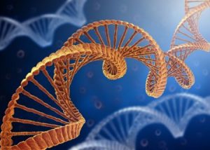 The Problems with Genetic Research in Diabetes